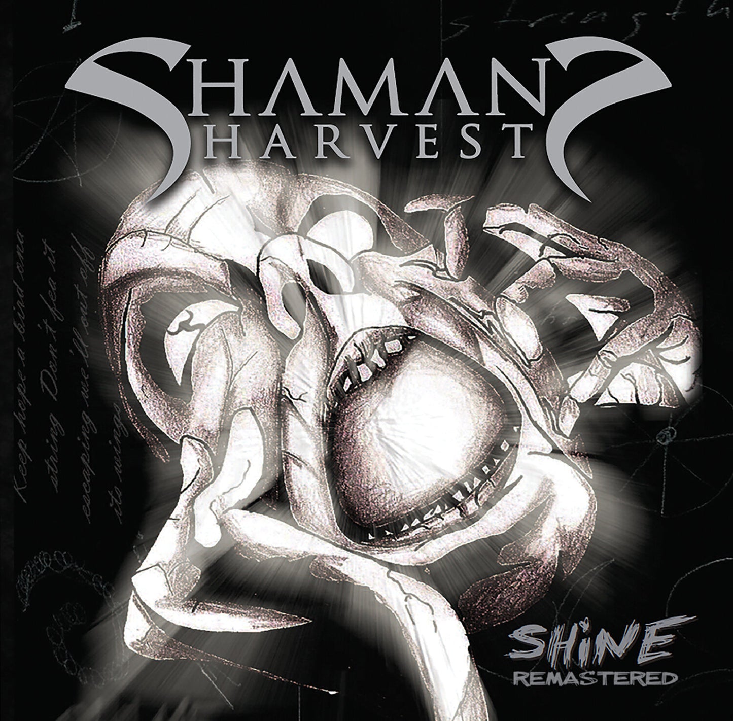 SHINE Remastered 180 gram Vinyl